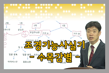 조경기능사 수목감별[테스트 포함]